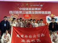 武风凛凛，龙狮啸天傲赛场