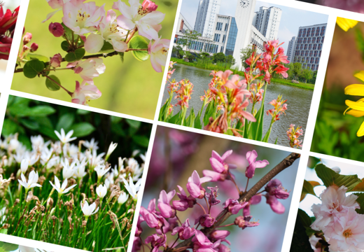 那株花?那棵草?叫我名字好不好?