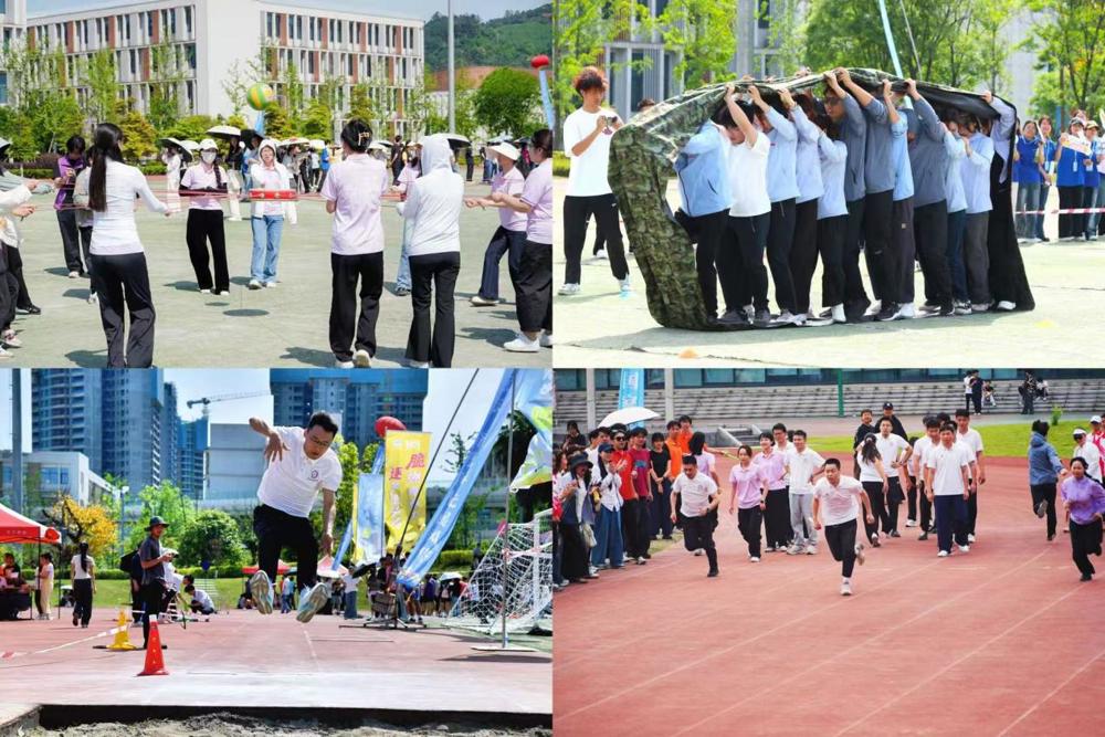 2bd119e9e50da515ba9bef2df818ab38