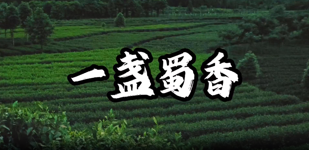 c1b07dcaecf647b68c9b27f1482b5b1d.png