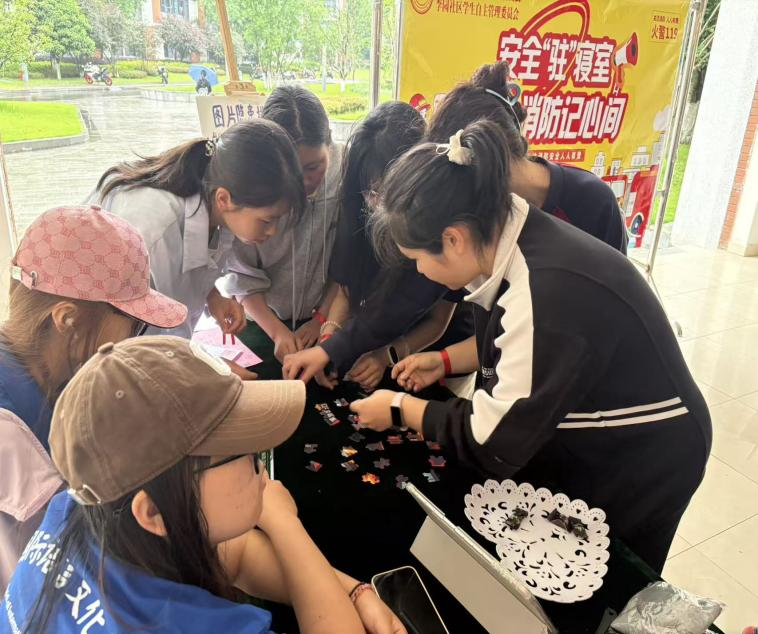 图片7